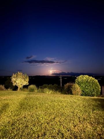 Domaine Des Pierres D Auvergne Flat 外观 照片